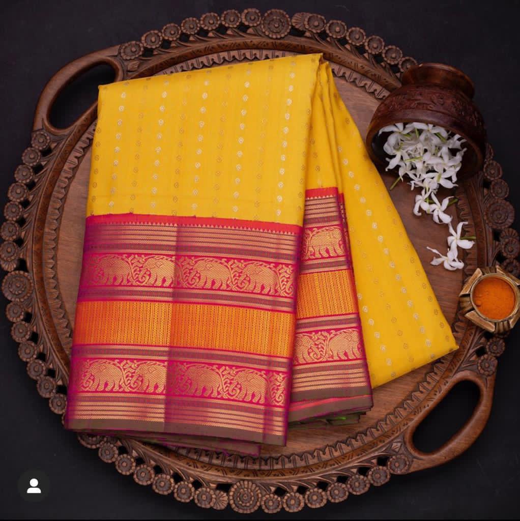 Multi Colour Saree New Launch