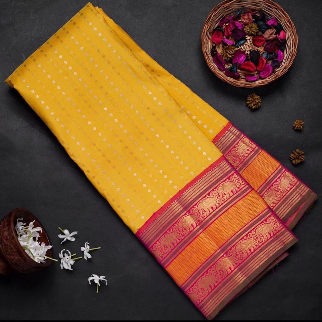 Multi Colour Saree New Launch