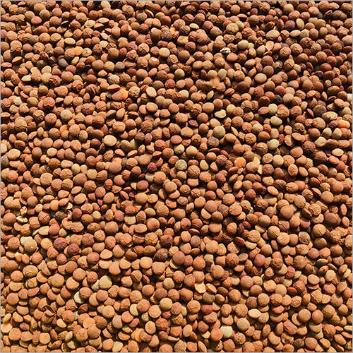 Lentil (Whole Masoor)