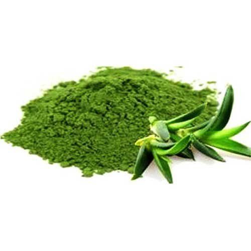 Aloe Vera Extract (Aloe Barbadensis Extract)