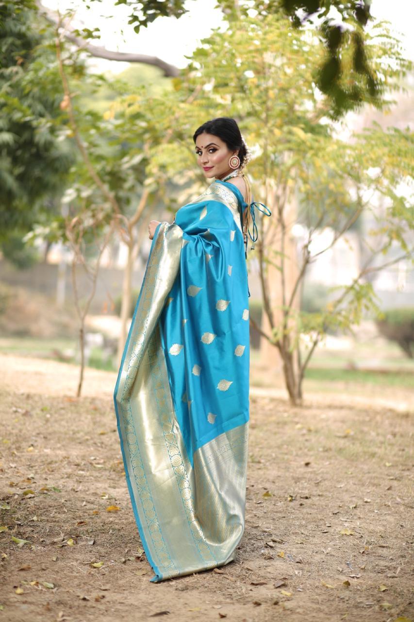 Multi Colour Saree New Launch