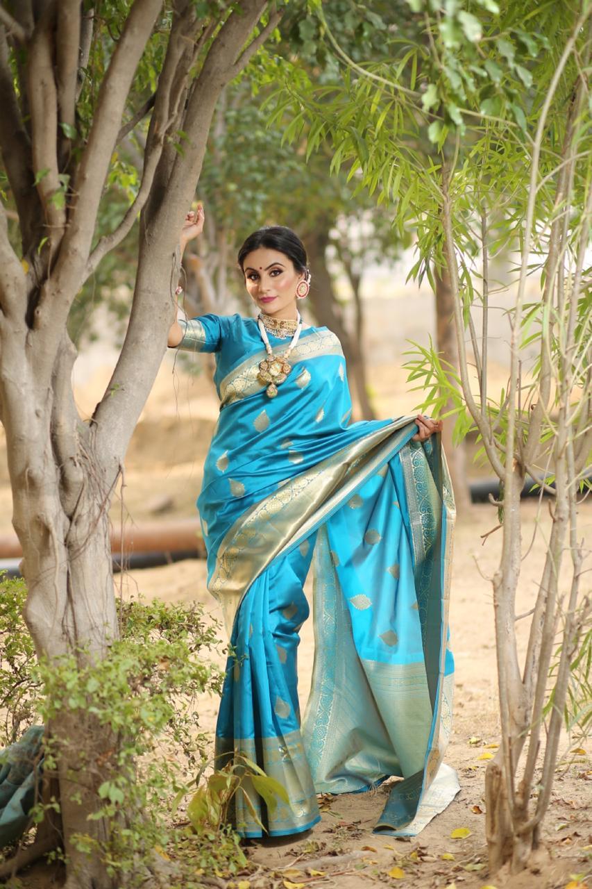 Multi Colour Saree New Launch