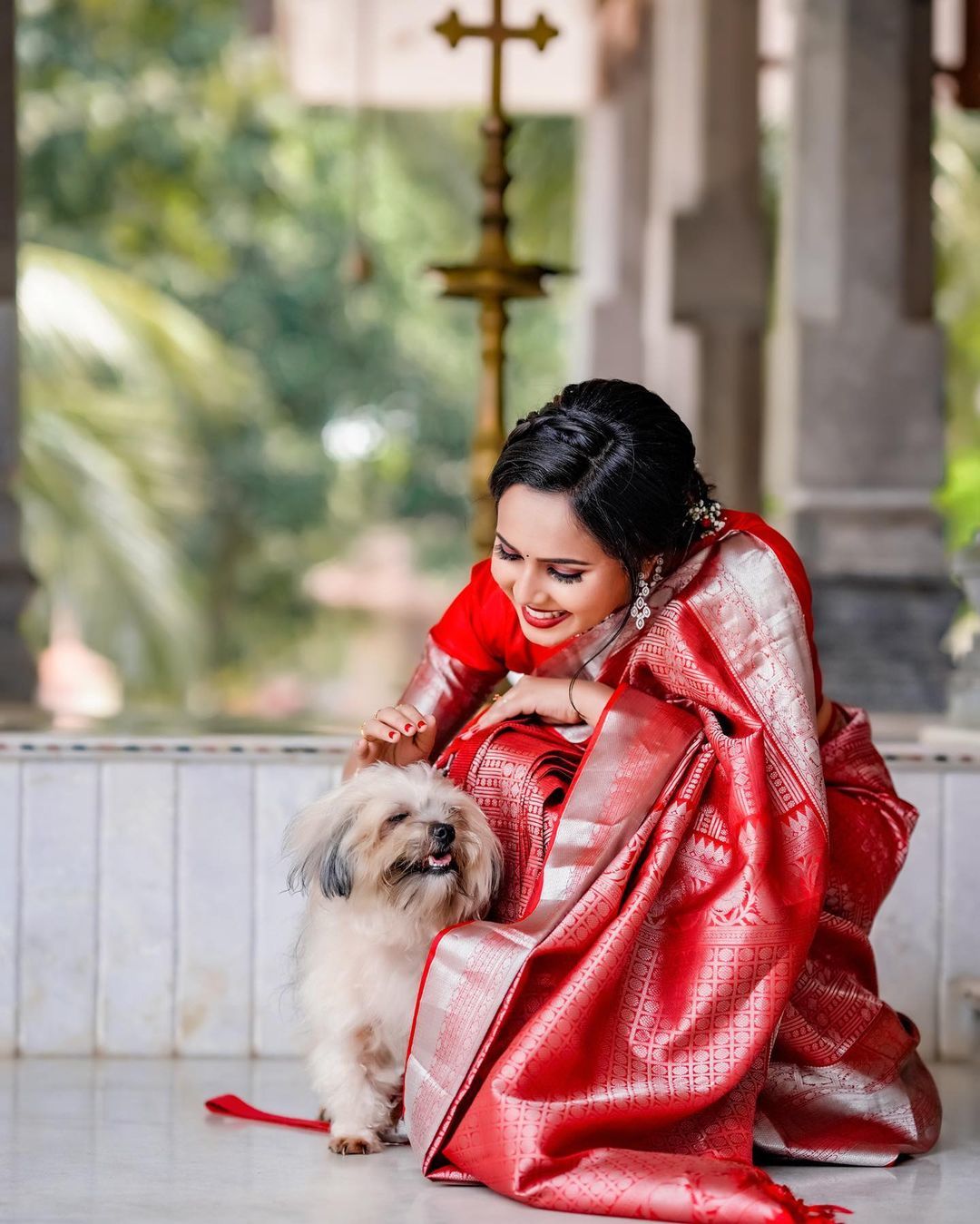 Multi Colour Saree New Launch