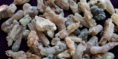 Boswellia Serrata Dry Extract - Gum Extract of High Purity | Natural Anti-Inflammatory Benefits
