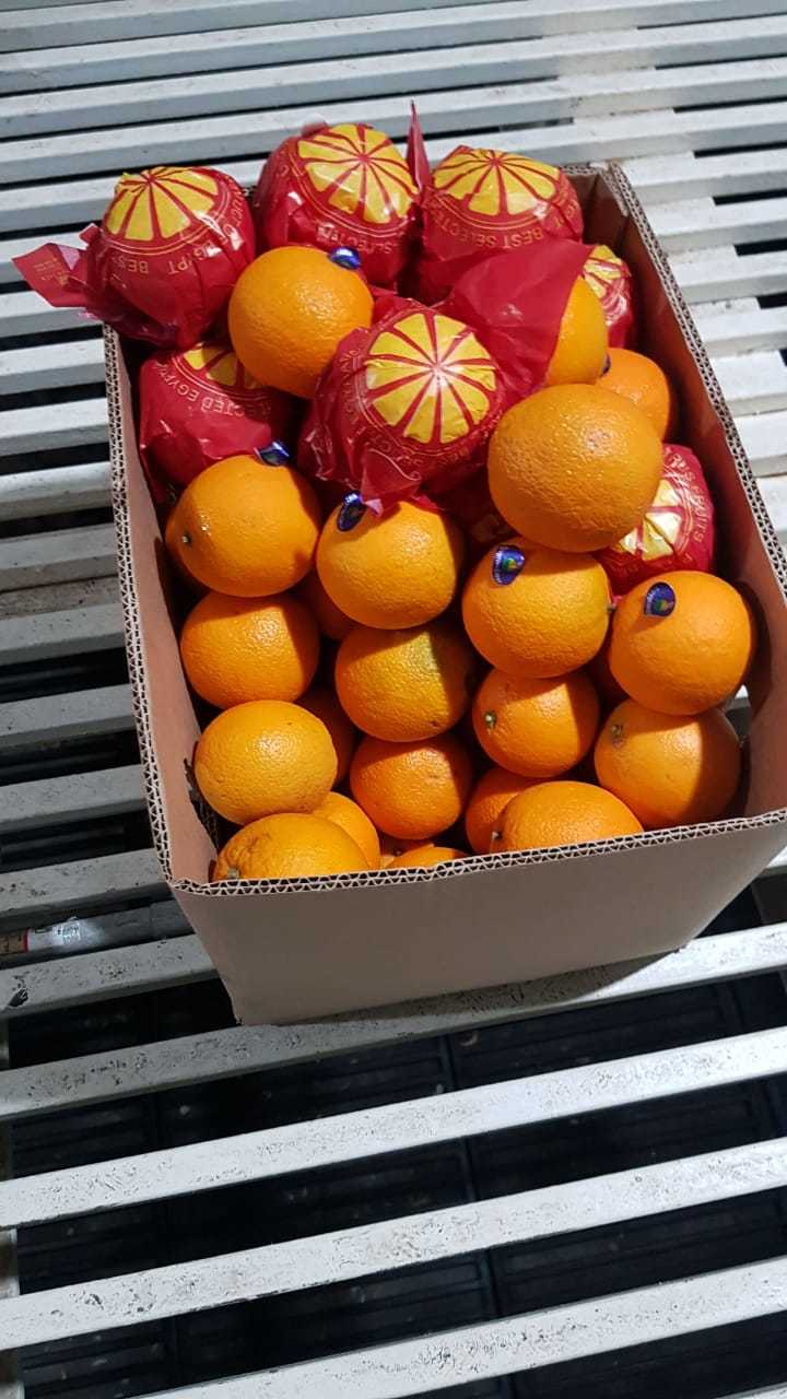 Egypt Oranges