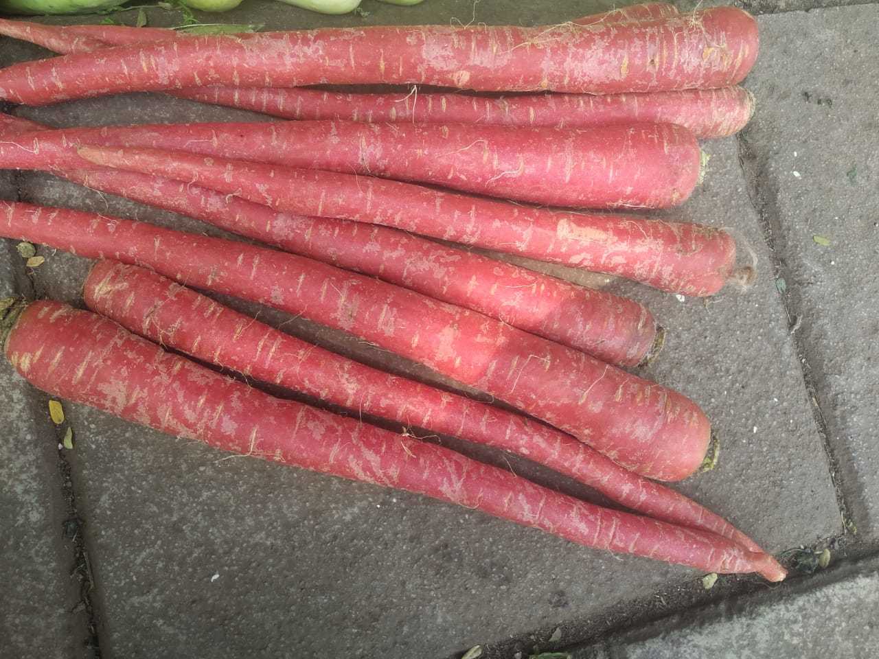 Red Carrot