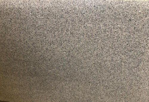 कोटकास्ता व्हाइट