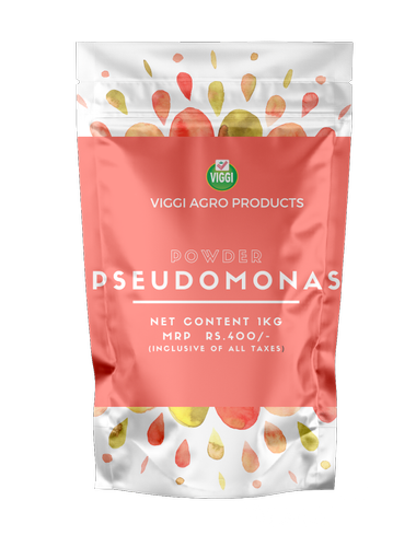 Pseudomonas Fluorescence Powder Form