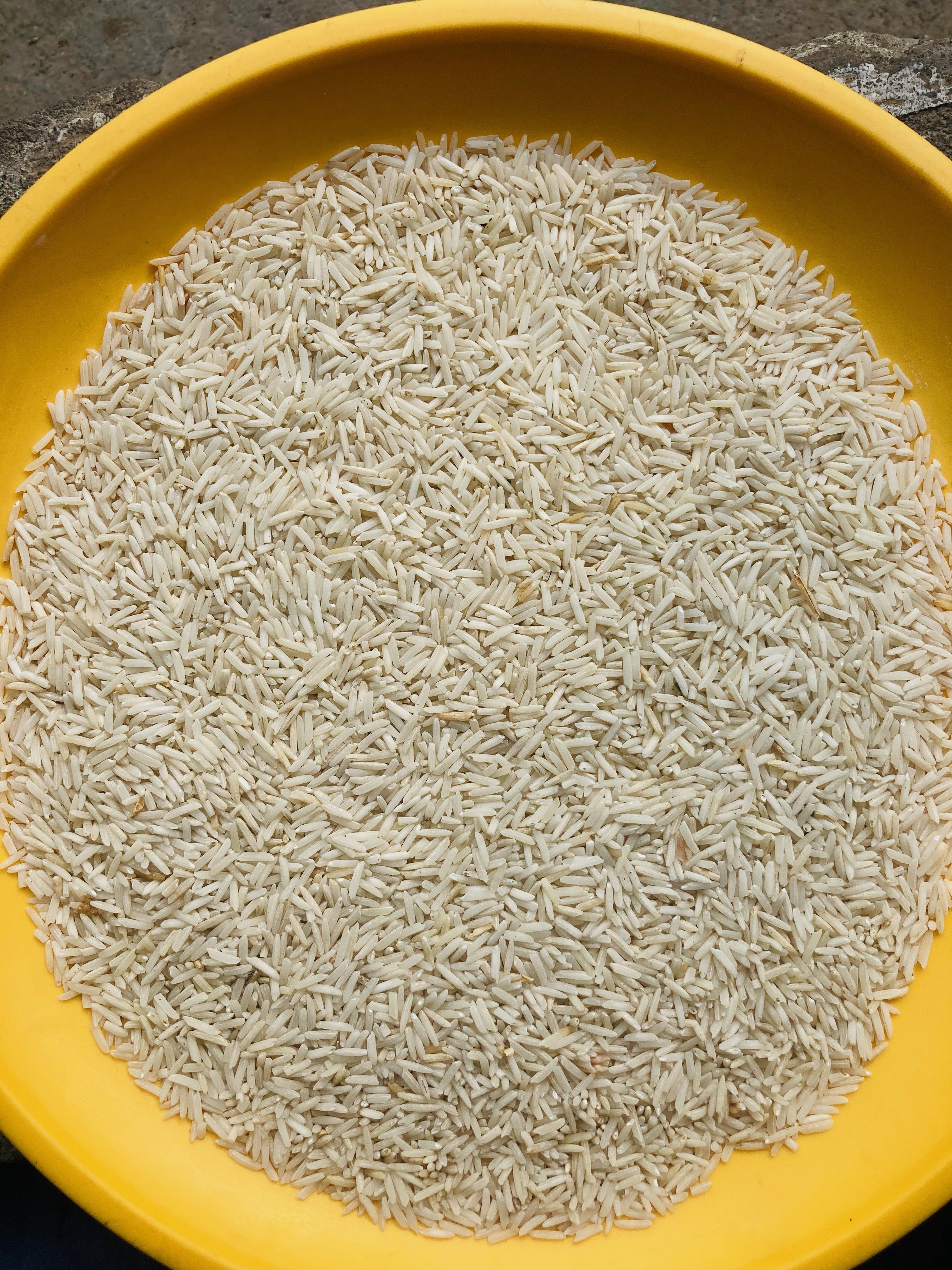1121 Basmati Rice - Long Grain, White Color, <5% Broken Grains, <14% Moisture Content | High Energy, Nutritious, Impurity Free, Versatile Use, Long Shelf Life