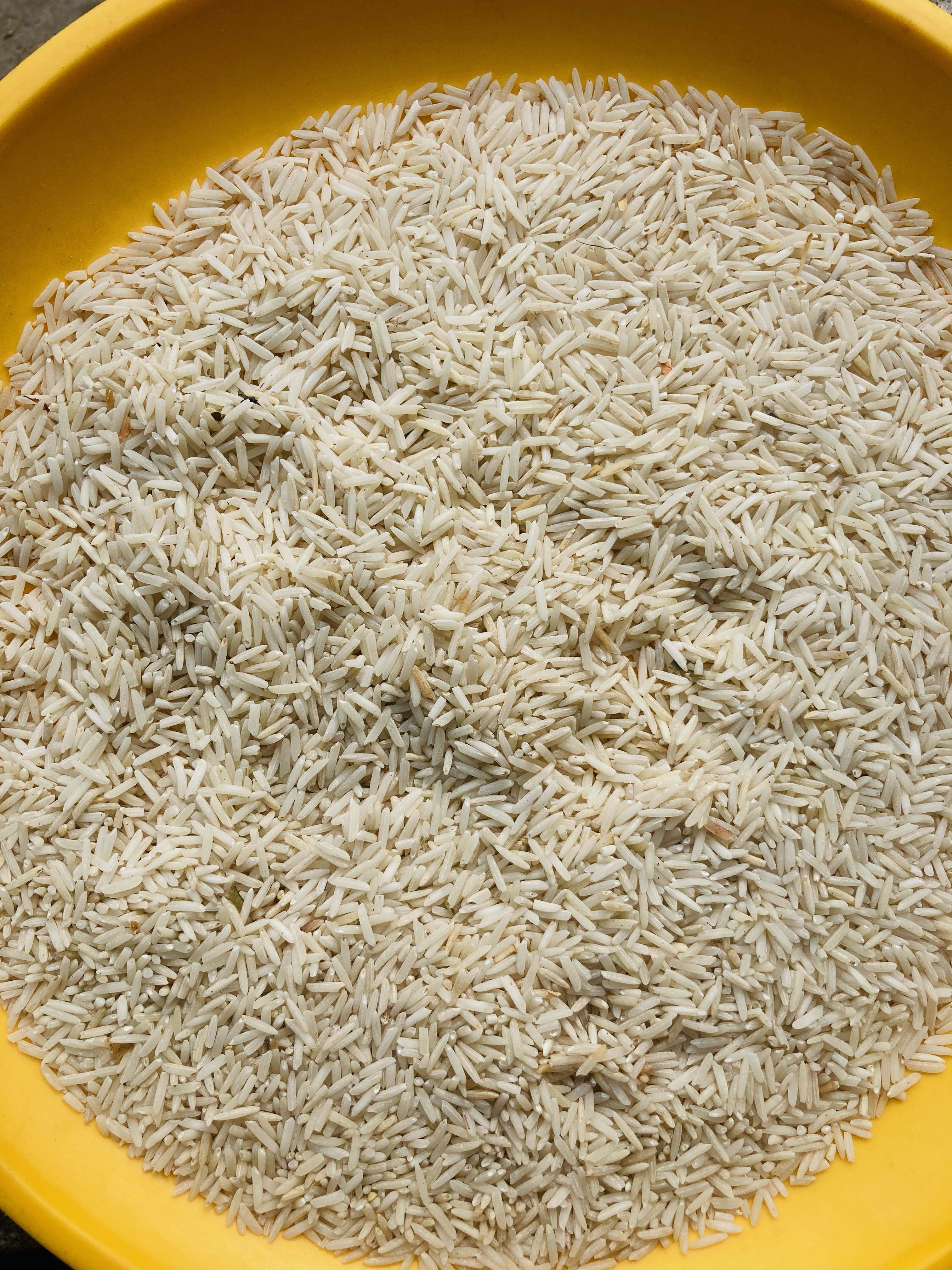 1121 Basmati Rice - Long Grain, White Color, <5% Broken Grains, <14% Moisture Content | High Energy, Nutritious, Impurity Free, Versatile Use, Long Shelf Life