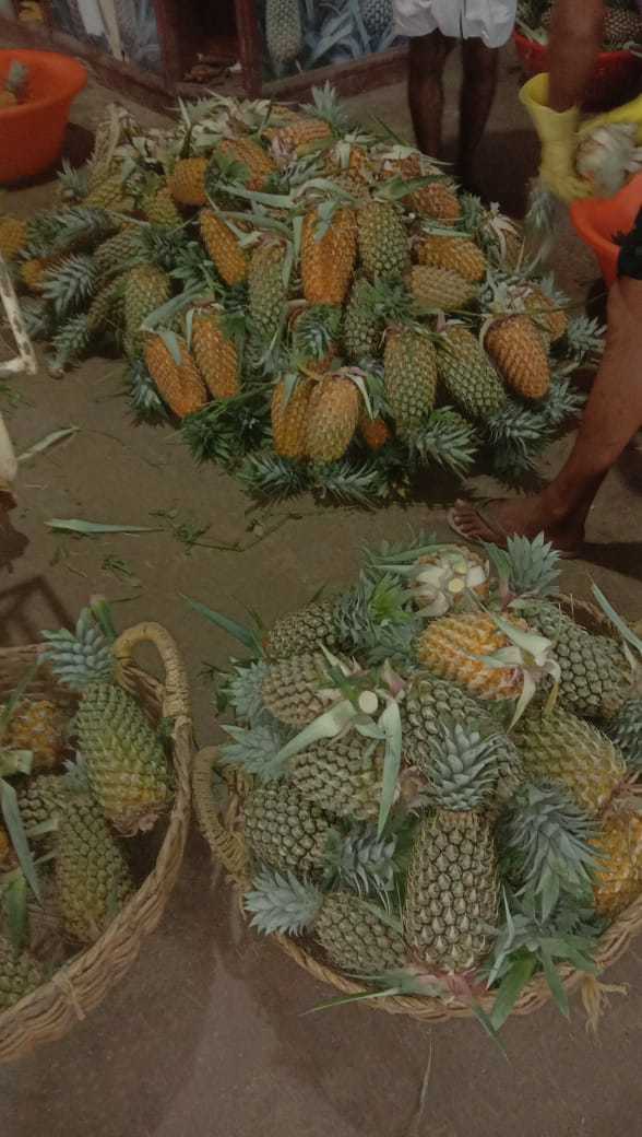 Pineapple Fresh