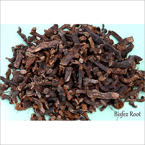 Bisfez Root