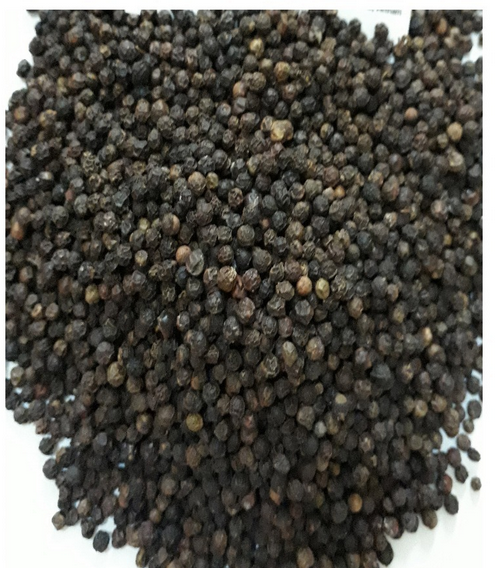 Black Pepper