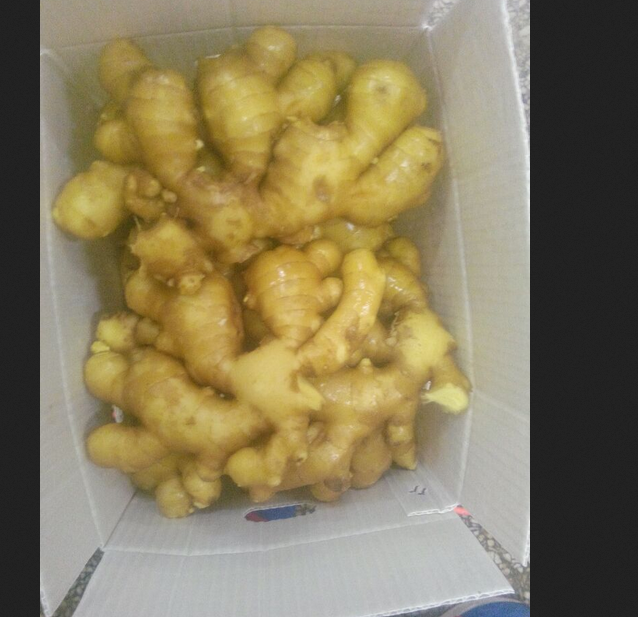 Ginger Powder For Sell