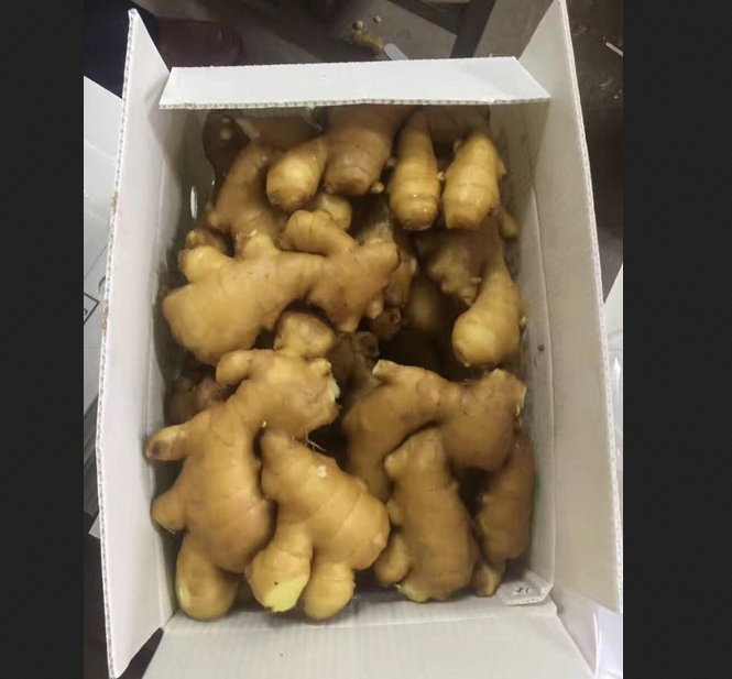 Ginger Powder For Sell
