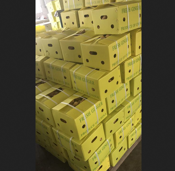 Ginger Powder For Sell
