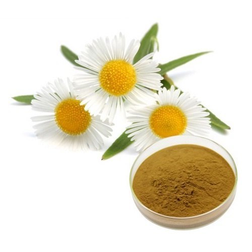 कैमोमाइल एक्स्ट्रैक्ट (Matricaria Chamomilla Extract)