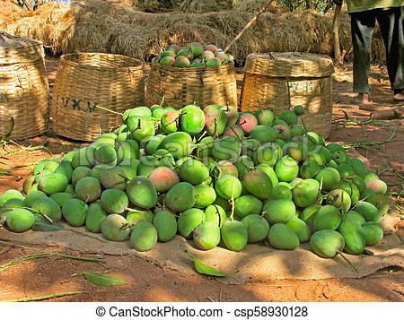 Mango And Other Products