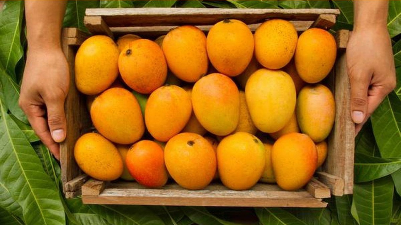 Mango And Other Products