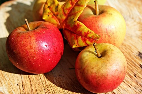 Apple Liquid Extract - Fruit Extract in Liquid Form, Red Color, Bottle Packaging, Solvent Extraction Method, Cool Dry Storage, 1 Year Shelf Life