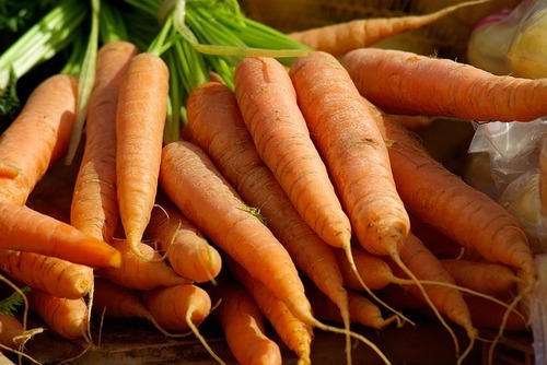 Carrot Liquid Extract - 100% Pure Cold Extraction | Daucus Carota Root Extract, 2 Years Shelf Life