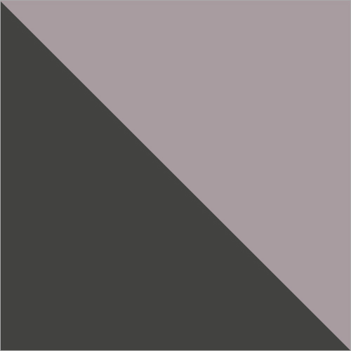 ग्रे रंगद्रव्य