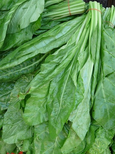 Spinach Liquid Extract Purity(%): 100 %