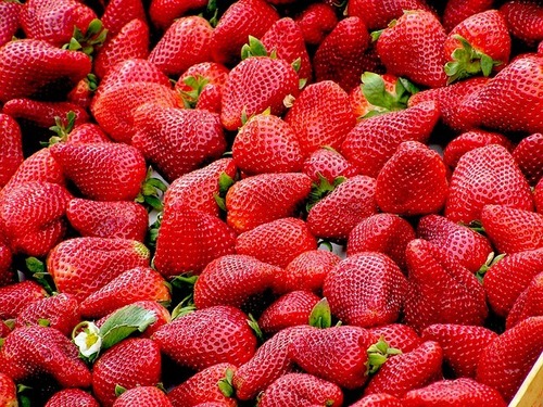 Strawberry Extract - Cold-Processed Liquid, 100% Purity, 2-Year Shelf Life