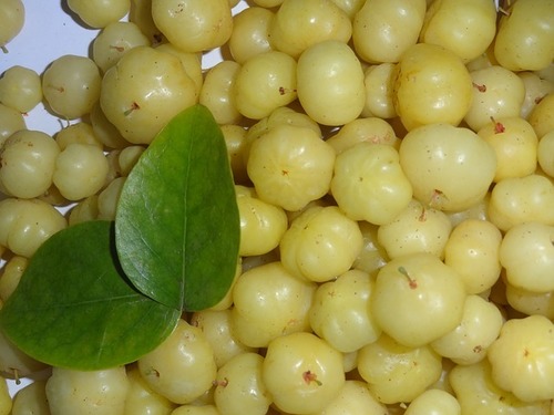 Amla Oil Extract Purity(%): 100 %