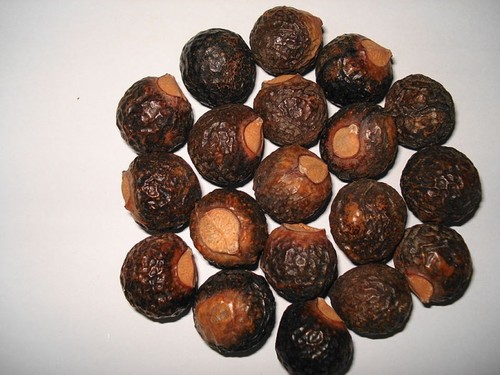 Aritha Liquid Extract Purity(%): 100 %
