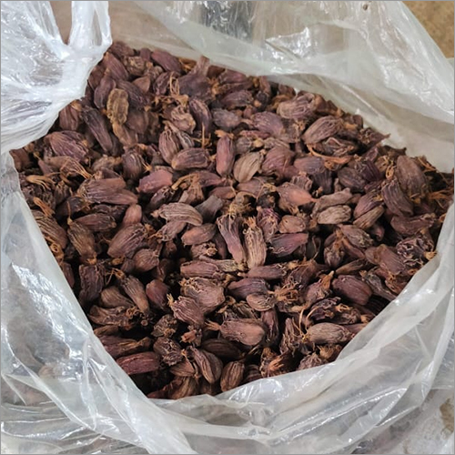 Large Cardamom - Grade A, Dry Storage | Versatile for Soups, Chowders, Curries, & Desserts