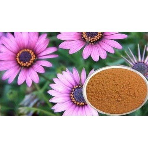 Echinacea (Echinacea Purpurea Extract)