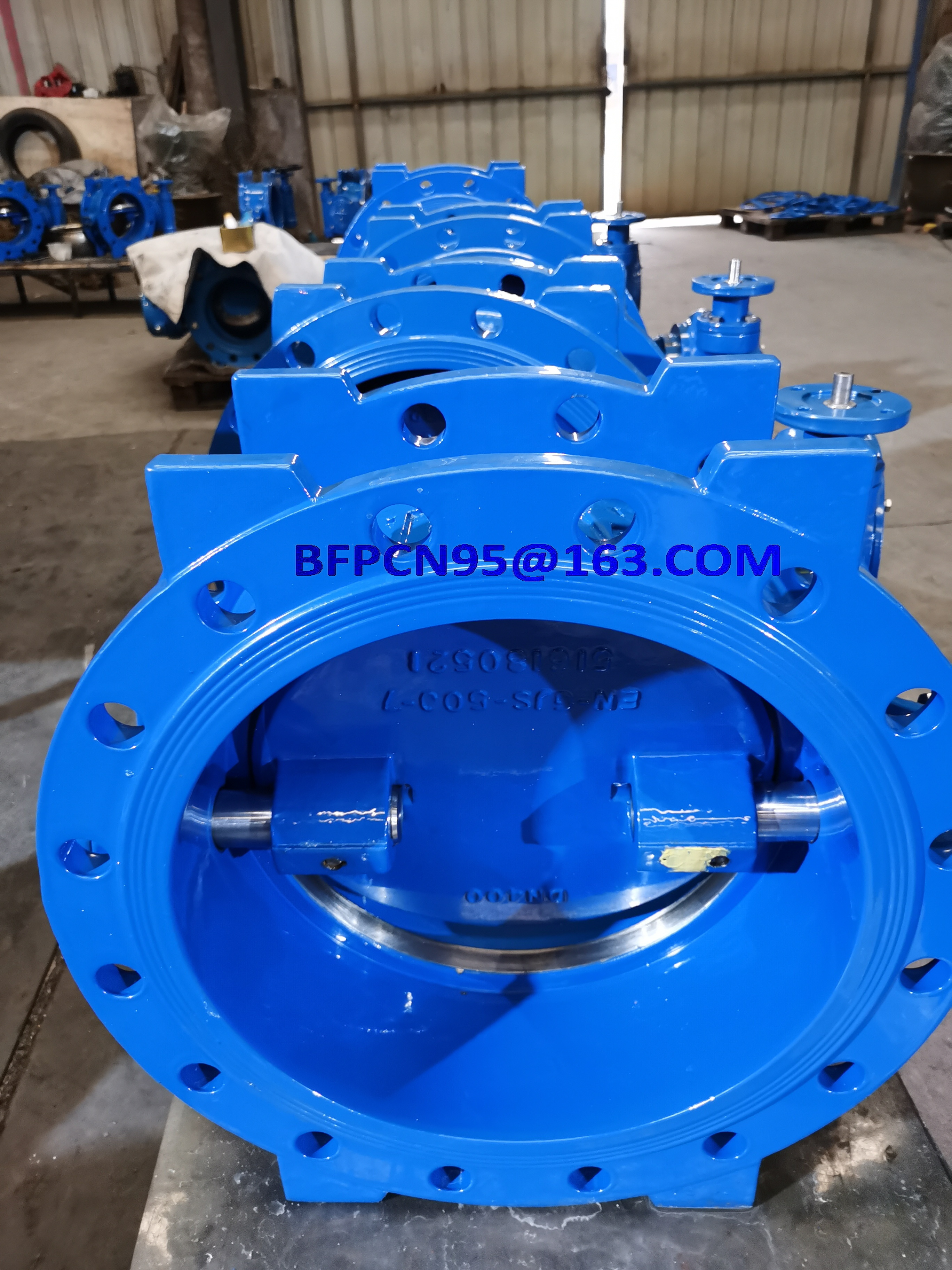 Blue Bs En Standard Double Offset Butterfly Valves