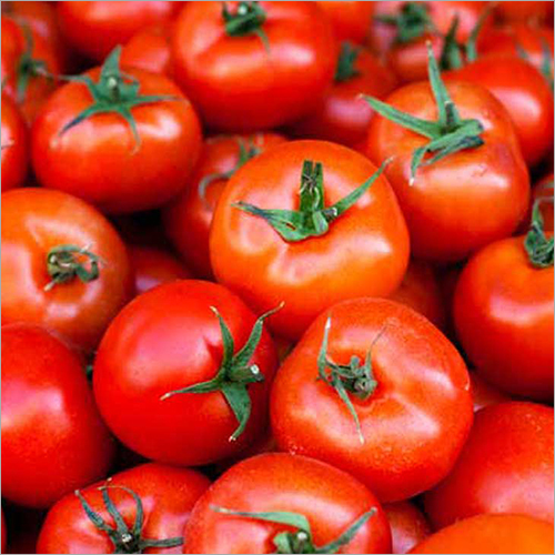 Fresh Tomatoes - High Moisture Content, Round Shape, Short Shelf Life | Raw and Fresh Style, No Preserving Compounds