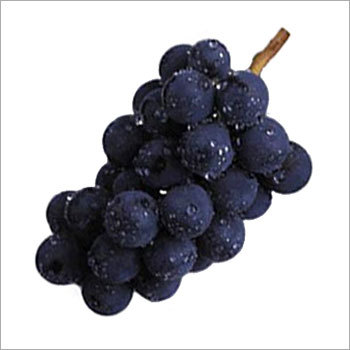 Summer Grapes