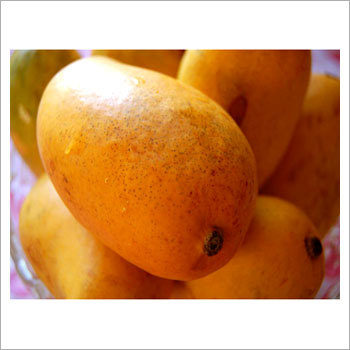 Manila Mangoes