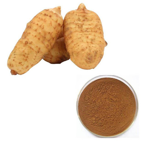 Gastrodia Extract (Gastrodia Elata Extract)