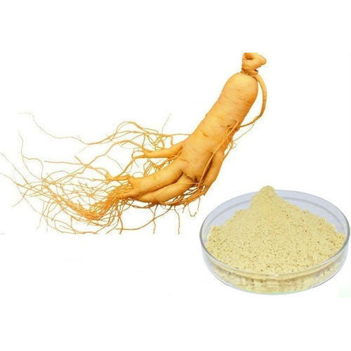 Ginseng Root Extract - Panax Ginseng Extract Powder, 100% Purity, Solvent Extracted, Mild Smell, 24-month Shelf Life, Available In 25 Kg Hdpe Drums