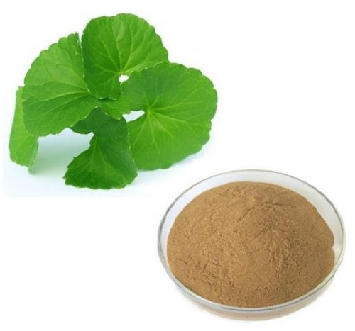 Gotu Kola Extract (Centella Asiatica Extract)