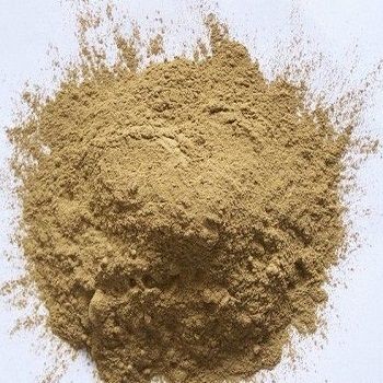 Hoodia Gordonii Powder (Cactus Extract)