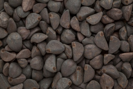Kaladana Extract (Ipomoea Hederacea Extract)