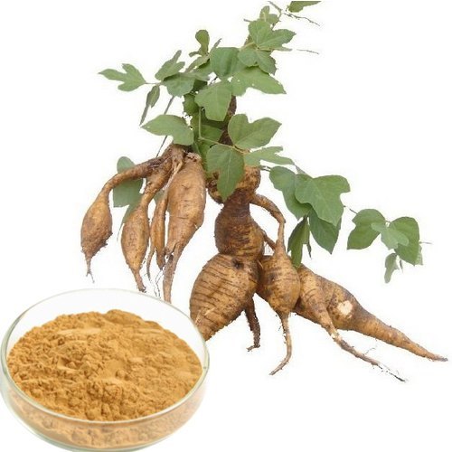 Kudzu Root Extract (Pueraria Lobata(willd.)ohwi Extract)
