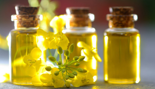 Narayan Tailam - 100% Pure Oil, 2-Year Shelf Life | Premium Quality Ayurvedic Healing Solution