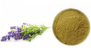 Lavender Extract ( Lavandula Angustifolia Extract )