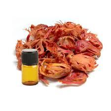 जावित्री का तेल (नवरात्रि)