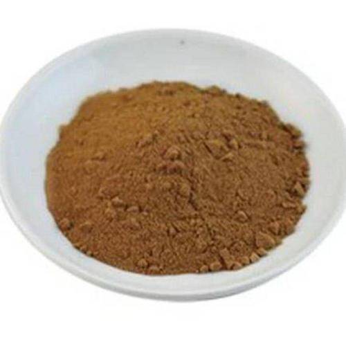 Maitake Mushroom Extract Powder (Grifola Frondosa Extract)