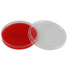 Sheep Blood Agar Plates - 500 Milliliter Plastic , 50 Plates For Growing Fastidious Organisms And Differentiating Bacteria By Hemolytic Properties