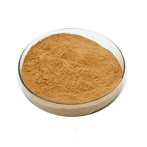 Makoi Extract (Solanum Nigrum Extract)