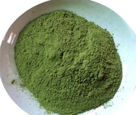 Moringa Extract (Moringa Oleifera Extract)