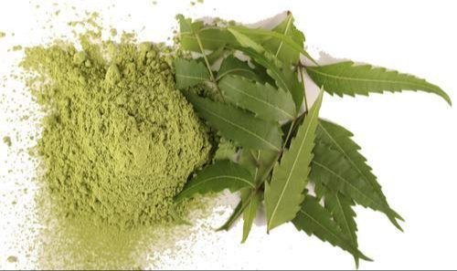 Neem Extract (Azadirachta Indica Extract)